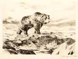 Carl Rungius, Ivan, etching on paper