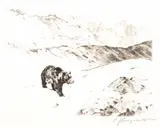Carl Rungius, An Old Prospector, etching on paper
