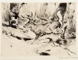 Carl Rungius, White Flag, etching on paper