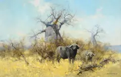 David Shepherd, Cape Buffalo, 1970, oil on canvas