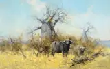 David Shepherd, Cape Buffalo