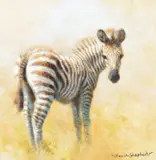 David Shepherd, Zebra, oil on canvas