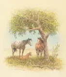 Olaf Wieghorst, Horses, mixed media on paper