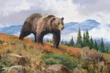 Ken Carlson, His Domain