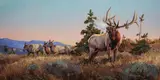 Luke Frazier, Canyon Echoes