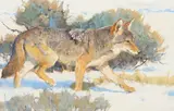 Bob Kuhn, Mouse Patrol