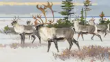At the Edge of the Boreal Forest by Bob Kuhn, acrylic on board, sold Jul 2018