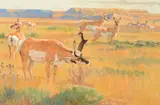 Bob Kuhn, Marking the Territory