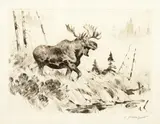 Carl Rungius, Coming to the Call, Etching & Drypoint