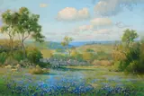 Porfirio Salinas, Texas Hill Country with Bluebonnets