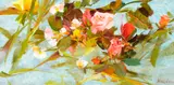 Richard Schmid, Pink Rose
