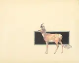 Olaf Carl Seltzer, Antelope, watercolor on paper