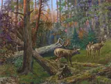 Olaf Carl Seltzer, Whitetails, oil on board