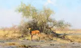 David Shepherd, Kudu Calf
