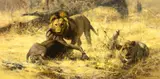 David Shepherd, Lions with Buffalo Kill