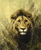 David Shepherd, Surprise Encounter