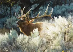 Carl Brenders, Indian Summer, 1999, mixed media on paper