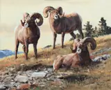 Ken Carlson, Three of a Kind