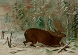 George Catlin, Moose Hunt, 1863, oil on board