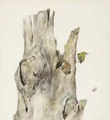 The Rifleman Bird by Raymond Ching, gouache on paper, sold Jul 2017
