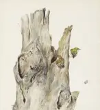 Raymond Ching, The Rifleman Bird, gouache on paper