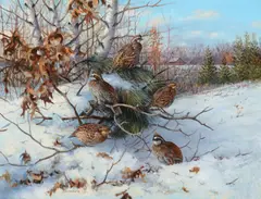 Bobwhite Quail by Owen J. Gromme, 1970, oil on canvas, sold Jul 2017
