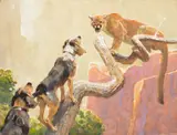 Study for Out on a BIG Limb by Bob Kuhn, acrylic on board, sold Jul 2017