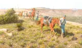 Tom Lovell, U.S. Dragoons in Texas, 1851