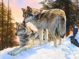 Bonnie Marris, Yellowstone Evening, 2017, oil on canvas
