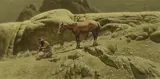 Frank McCarthy, Nocturnal Tracker