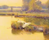James Morgan, Silver Dawn, oil on canvas