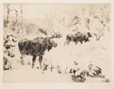 Carl Rungius, Friends Again, etching on paper