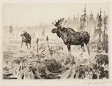Carl Rungius, Near Long Lake, etching on paper