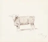Hereford Steer by Charles Marion Russell, pen & ink on paper, sold Jul 2017
