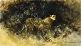 David Shepherd, Cheetah in the Bush