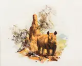 David Shepherd, Images of Africa