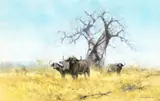 David Shepherd, Cape Buffalo