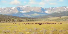 Tucker Smith, Blackfeet Country, 1988, oil on canvas
