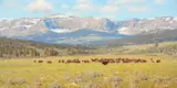 Tucker Smith, Blackfeet Country, 1988, oil on canvas
