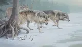 Daniel Smith, Eyes of the North, oil on board