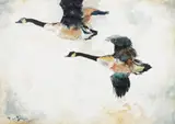 Frank Weston Benson, Study for Geese Flying