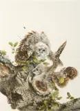 Raymond Ching, Tawny Owlets, gouache on paper