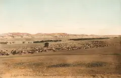 Laton Alton Huffman, A Trail Herd, Powder River, original hand-colored collotype on paper