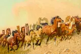 Robert Lougheed, Mustangs on the Move