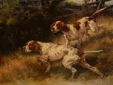 Edmund Henry Osthaus, Hunters