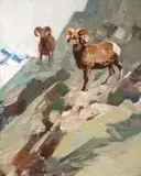 Bighorn by Carl Rungius, oil on canvas laid on board, sold Jul 2016