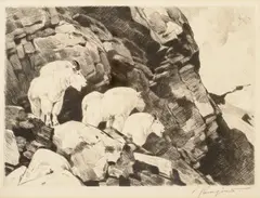 Carl Rungius, Collection of 41 etchings, etching on paper