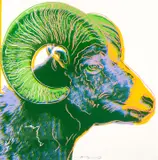 Andy Warhol, Bighorn Ram 121/150, 1983, silk-screen print