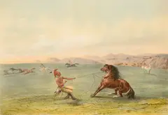George Catlin, Catching the Wild Horse (Plate 4), lithograph on paper, original hand color