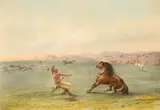 George Catlin, Catching the Wild Horse (Plate 4), lithograph on paper, original hand color